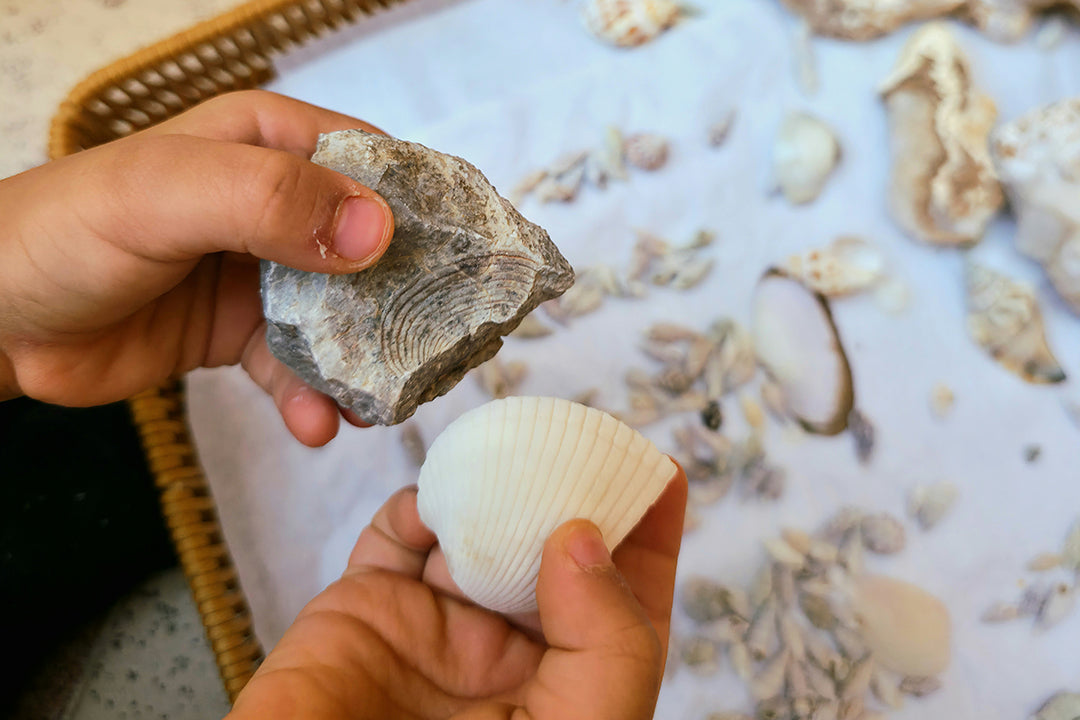 Montessori-Materialien selber machen – DIY-Ideen ohne Budget