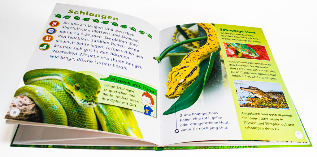 Dschungeltiere – TING-Sachbuch Kinder ab 5 Jahren