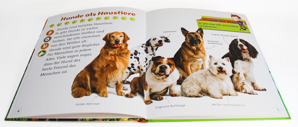 Unsere liebsten Hunde ⎪ TING-Sachbuch Kinder ab 6 J.
