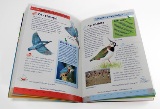 What's flying there? 85 native bird species